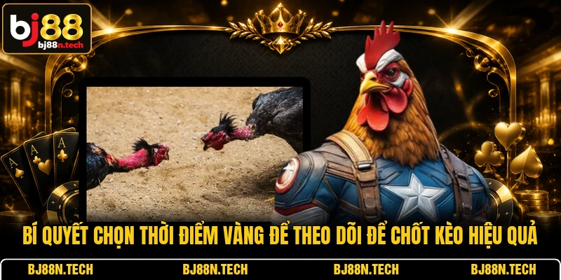 Bí quyết chọn thời điểm vàng để theo dõi để chốt kèo hiệu quả
