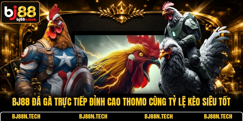 BJ88 Đá Gà Trực Tiếp Đỉnh Cao Thomo Cùng Tỷ Lệ Kèo Siêu Tốt