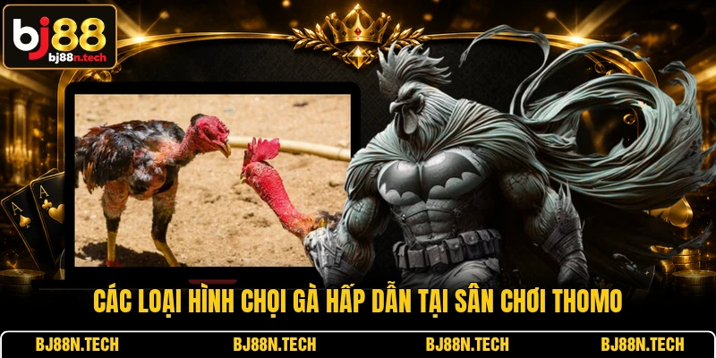 Các loại hình chọi gà hấp dẫn tại sân chơi Thomo