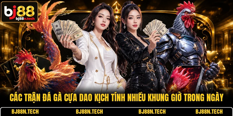 Các trận đá gà cựa dao kịch tính nhiều khung giờ trong ngày