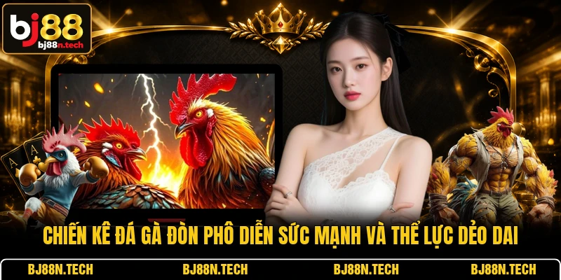 Chiến kê đá gà đòn phô diễn sức mạnh và thể lực dẻo dai