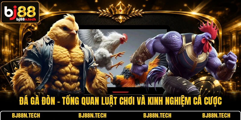Đá Gà Đòn - Tổng Quan Luật Chơi Và Kinh Nghiệm Cá Cược