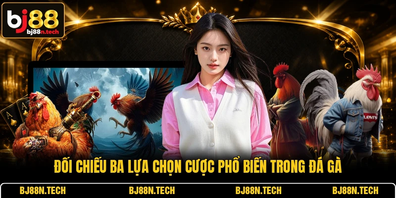 Đối chiếu ba lựa chọn cược phổ biến trong đá gà