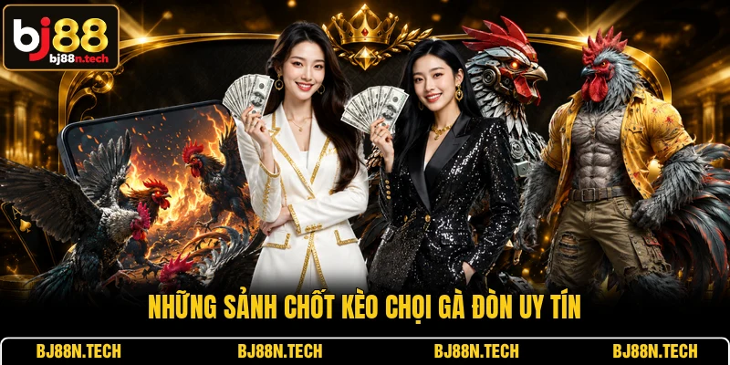 Những sảnh chốt kèo chọi gà đòn uy tín