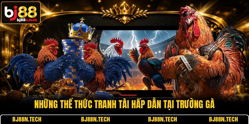 Những thể thức tranh tài hấp dẫn tại trường gà