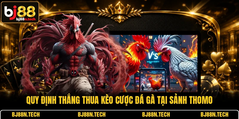 Quy định thắng thua kèo cược đá gà tại sảnh Thomo